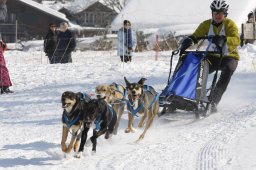 Lenk 2012 SM